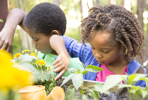 Children gardening.