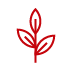 Icon of a plant leaf in a red outline